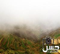 منظر  الضباب على جبل العزة ـ محافظة الداير ـ جازان