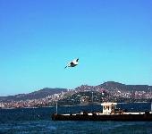 رحلتي لدولة تركيا ـ مدينة اسطنبول ـ الحلقة3